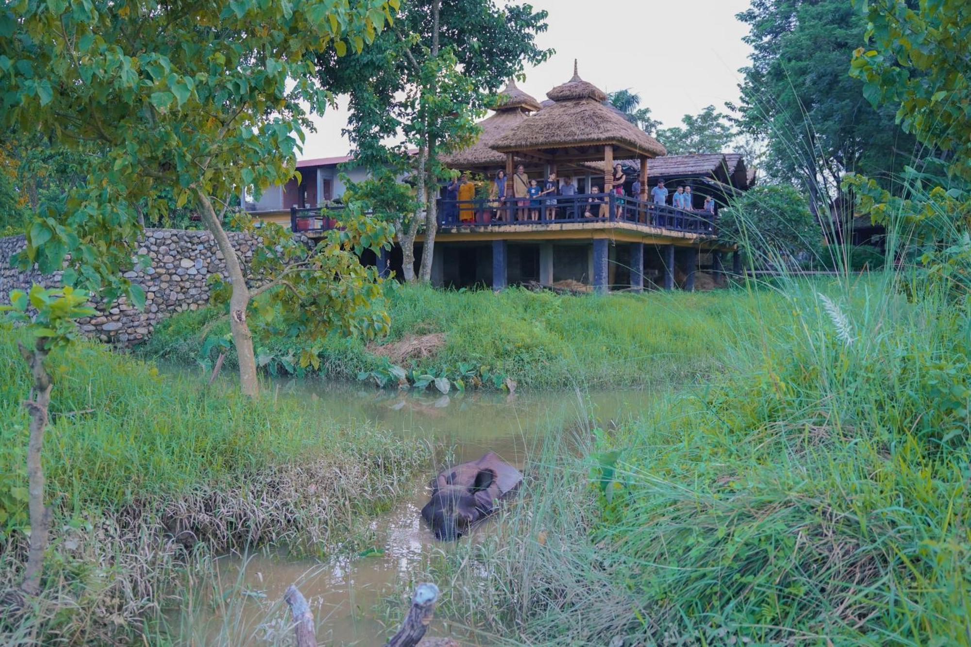 Sapana Village Lodge Sauraha Esterno foto